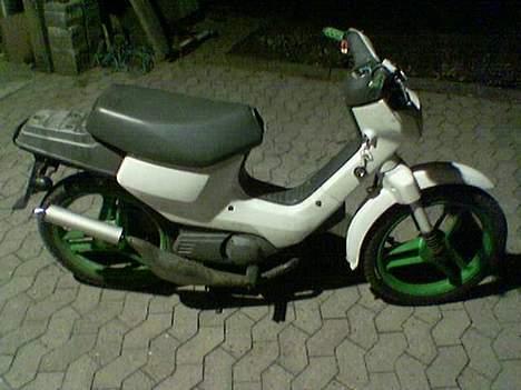 Honda Wallaroo billede 1