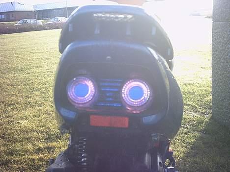 Honda Sfx *Solgt* - De to små ting som sidder på mit skjold er mine blinklys.  Tjek lige min baglygte, :P billede 8