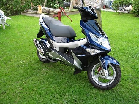 PGO G-MAX  Blå perlemor billede 3