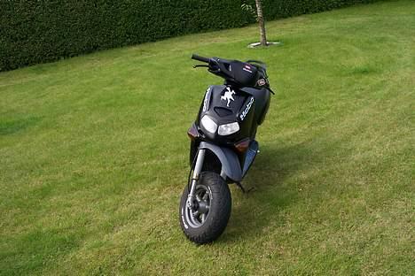 Aprilia Rally billede 2