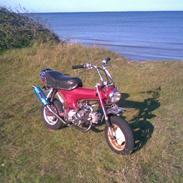 Honda dax st-50