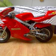 MiniBike _-'PocketBike'-_