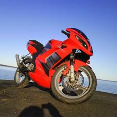 Rieju RS2 Matrix Brændt :'(