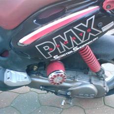 PGO pmx sport "SOLGT"