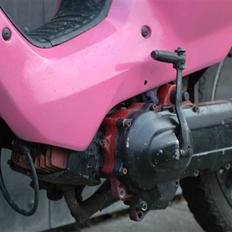 Honda wallaroo SOLGT