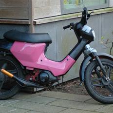 Honda wallaroo SOLGT