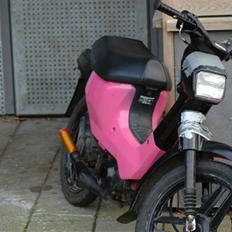 Honda wallaroo SOLGT