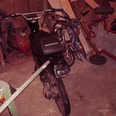 Honda wallaro *solgt*