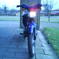 Honda wallaroo (solgt)