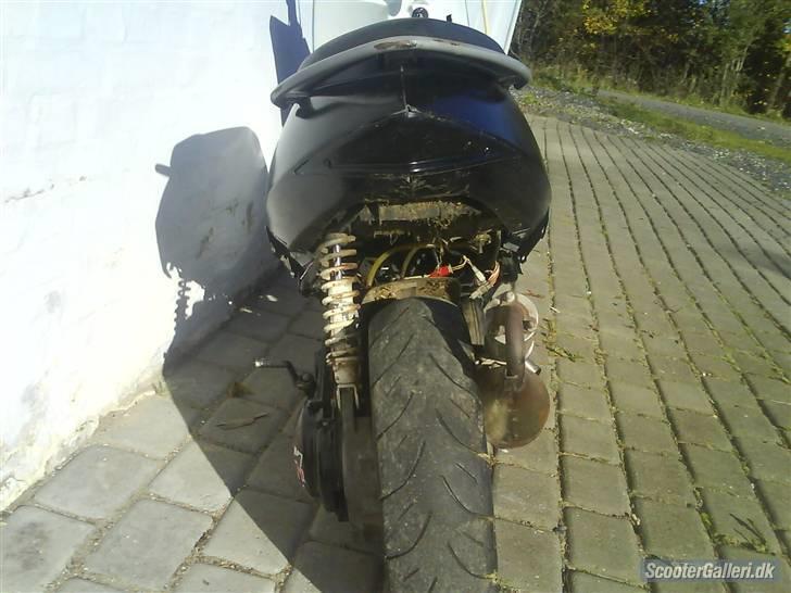 Suzuki Estilete SMIDT UD billede 3