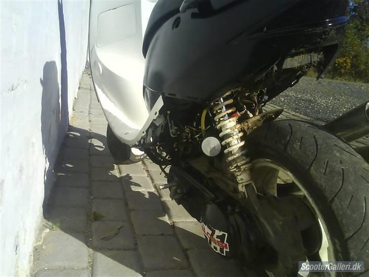 Suzuki Estilete SMIDT UD billede 4