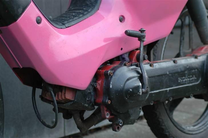 Honda wallaroo SOLGT billede 1