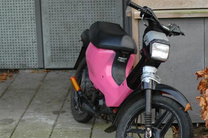 Honda wallaroo SOLGT billede 3