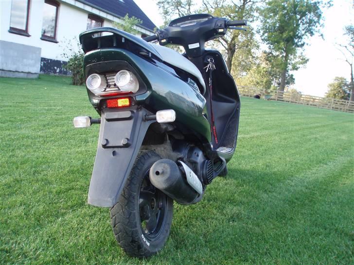 Honda sfx       - gammelt billede fra sommern 2007  billede 18