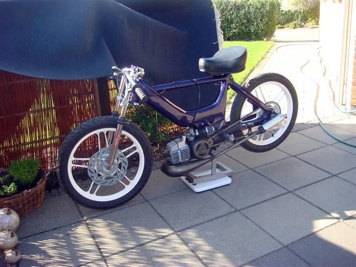 Puch - Purple Pearl - Solgt - Maxi på vægten. - 35.3 kilo, inklusiv støttefod (: billede 13