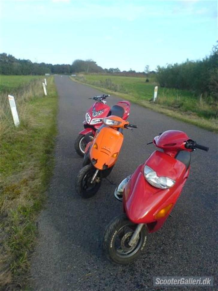 Honda sfx (solgt) billede 10