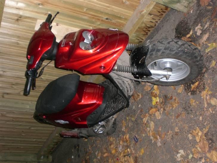 PGO hot 50 andré,s Solgt billede 14