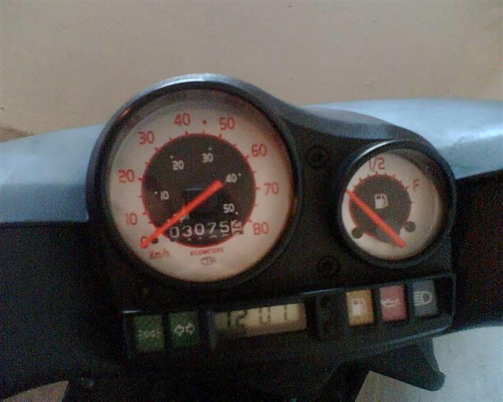 Gilera stalker byttet til hot billede 2