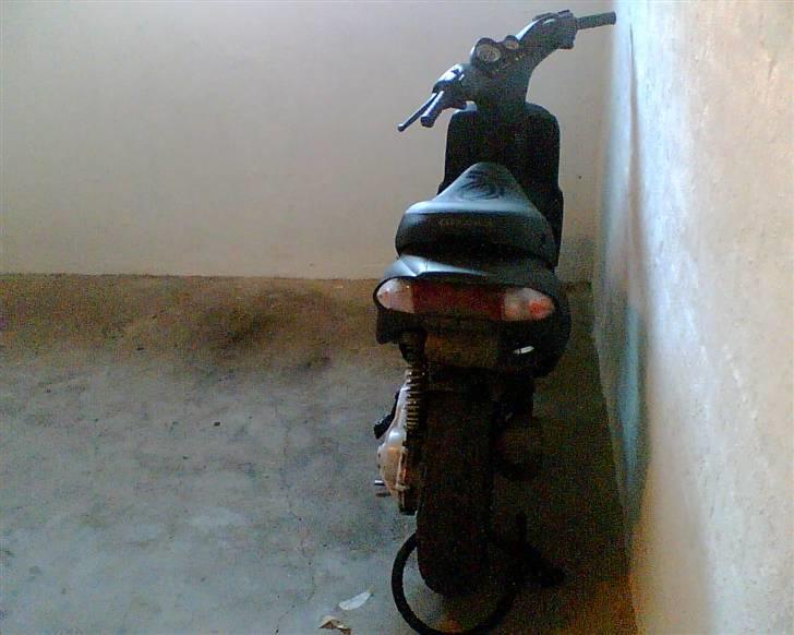 Gilera stalker byttet til hot billede 4