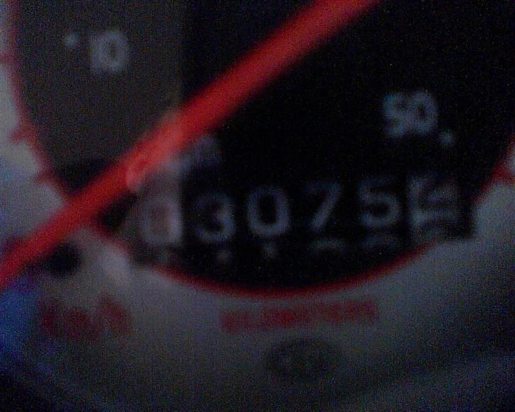 Gilera stalker byttet til hot billede 5