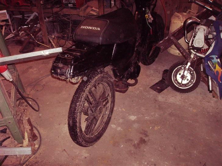 Honda wallaro *solgt* billede 3