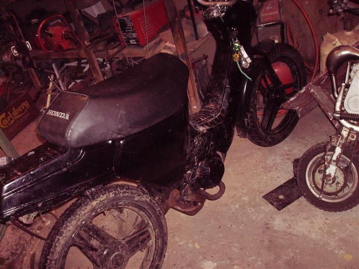 Honda wallaro *solgt* billede 4