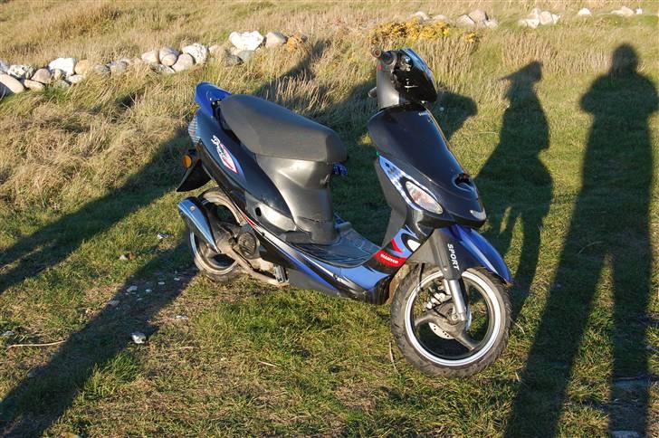 Giantco sprint(sport) (før) billede 12