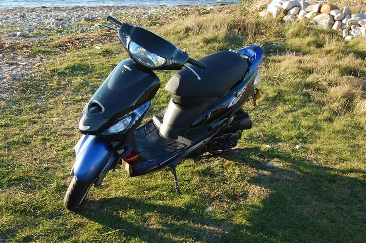 Giantco sprint(sport) (før) billede 16