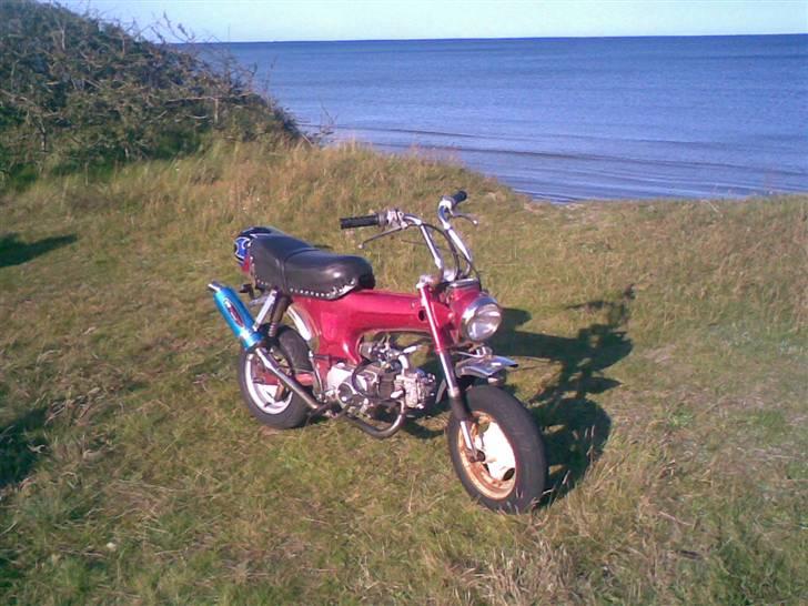 Honda dax st-50 - gammelt billede billede 1