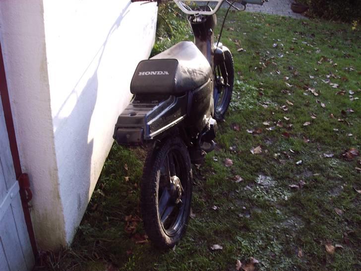 Honda wallaro *solgt* billede 9