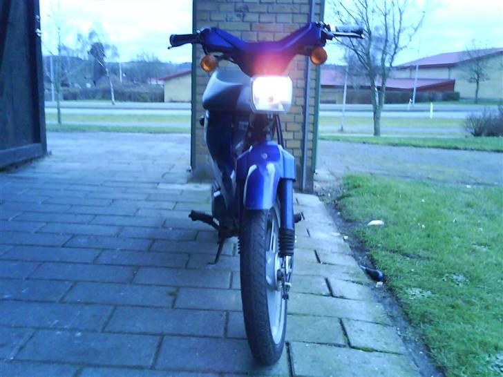 Honda wallaroo (solgt) billede 3