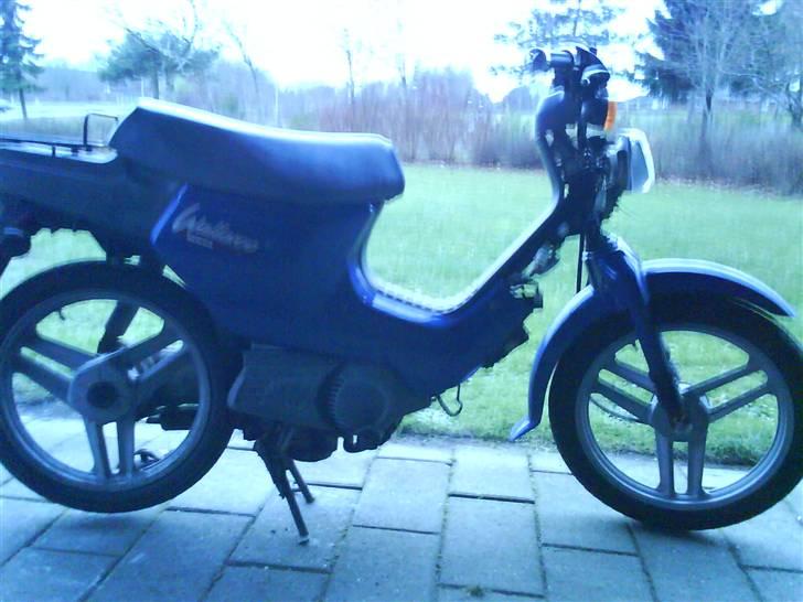 Honda wallaroo (solgt) billede 4