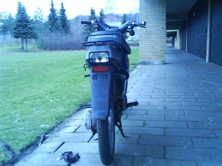 Honda wallaroo (solgt) - mit diode neonlys billede 5