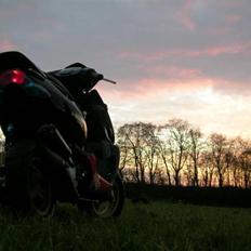 Aprilia Sonic []