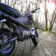 Skyteam dax  den er blevet stjåle