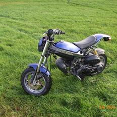 Suzuki ssm *projekt* Før