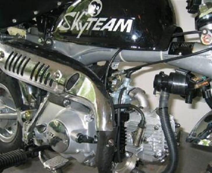 Skyteam Monkey billede 7