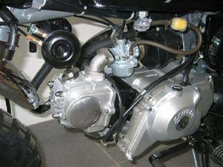 Skyteam Monkey billede 9