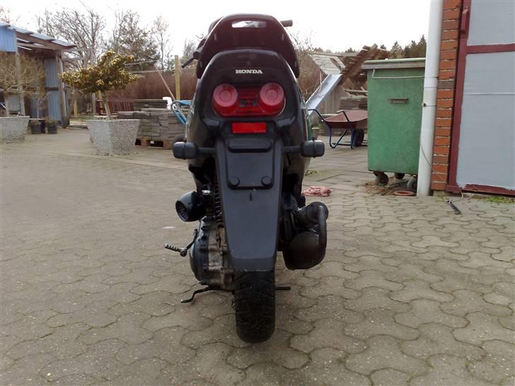 Honda sfx billede 13