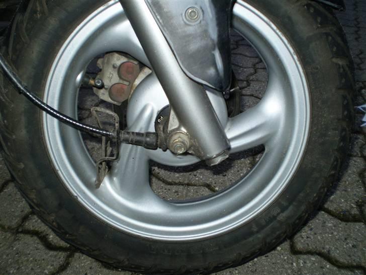 PGO Dr.Big (solgt) billede 6