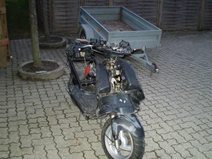 PGO Dr.Big (solgt) billede 7