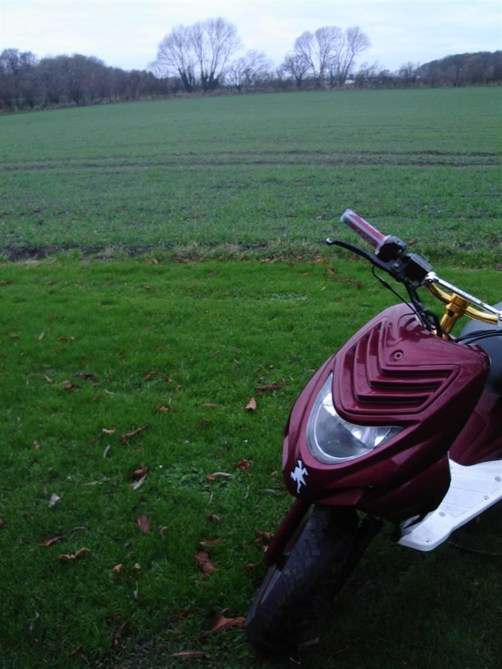 CPI Oliver solgt.. billede 9