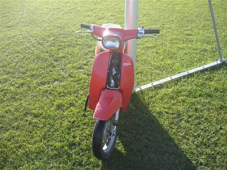 Honda melody **solgt** billede 2