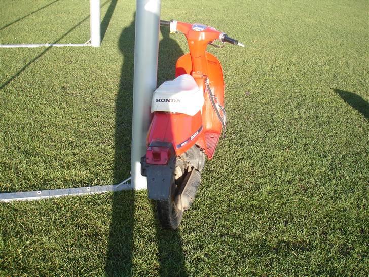 Honda melody **solgt** billede 3