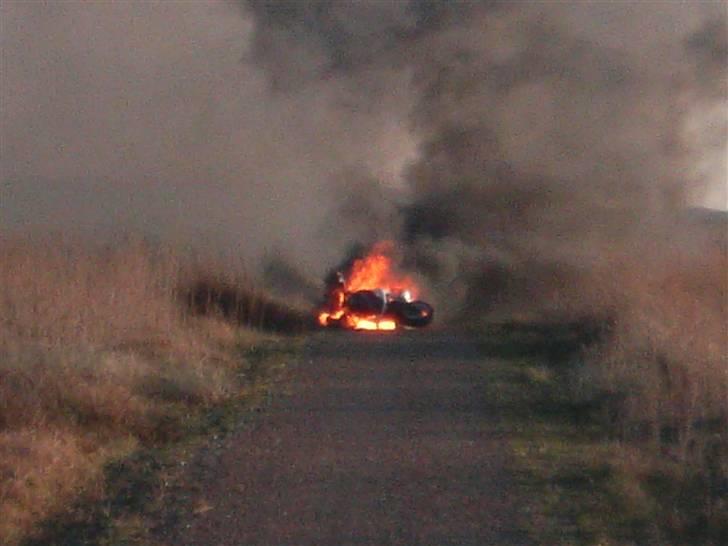 PGO Pmx Naked [RIP] billede 17