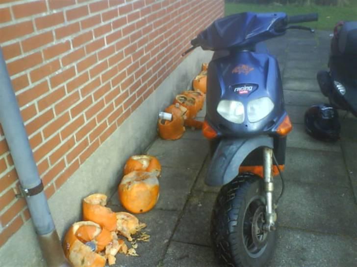 Aprilia Rally billede 1