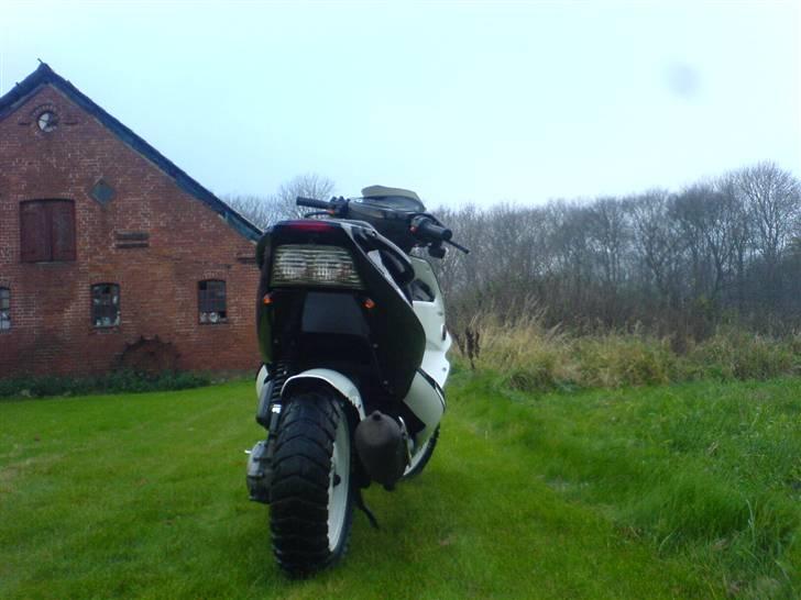 PGO DR. BIG (TILSALG!) billede 17