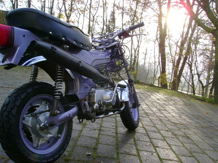 Skyteam dax  den er blevet stjåle billede 2