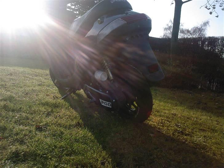 PGO ·comet Solgt - i solen :) billede 5