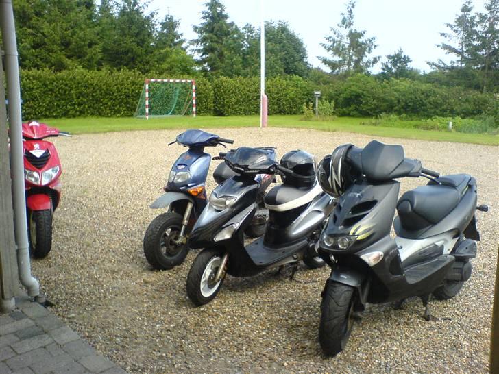 Aprilia Rally billede 6